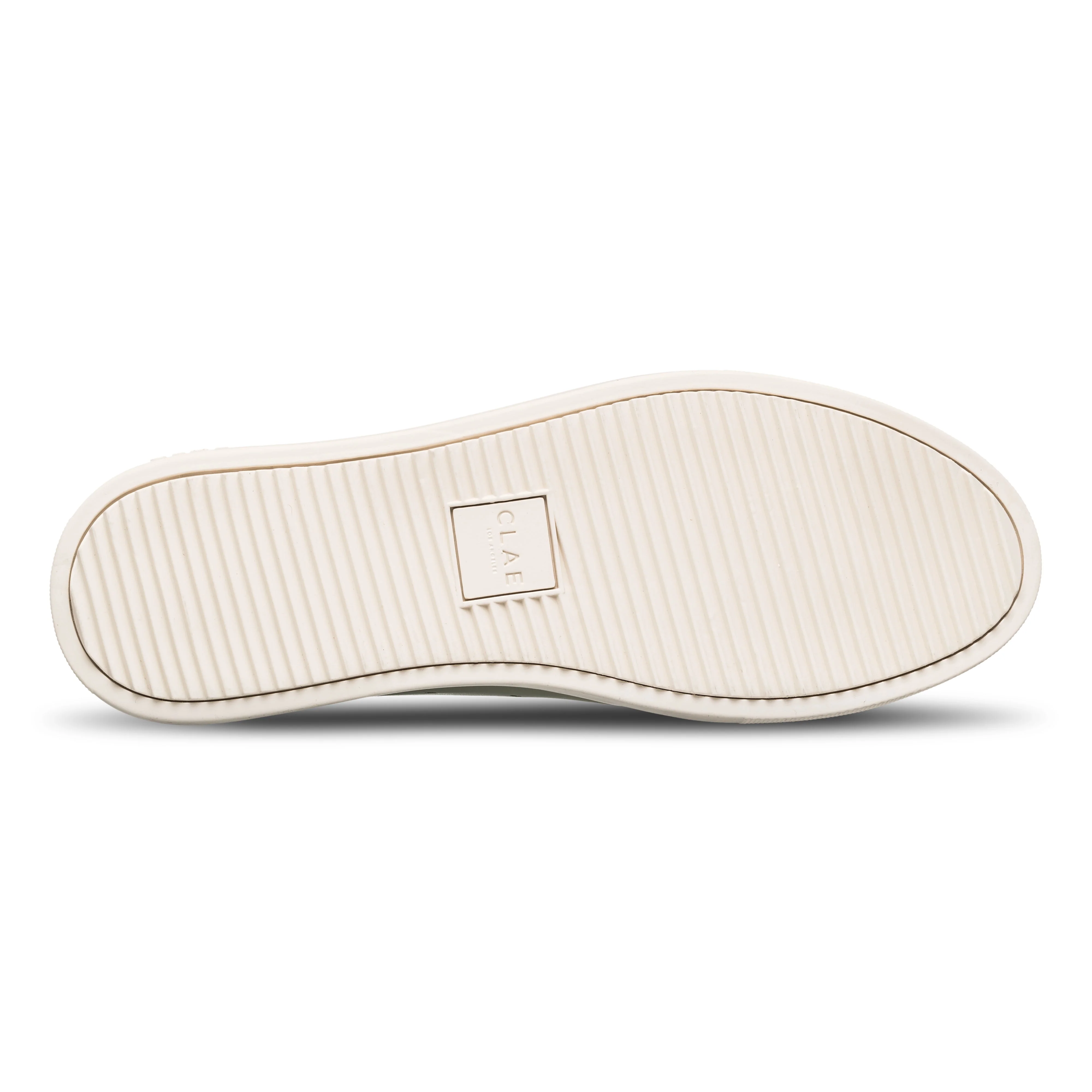 BRADLEY CACTUS - Image 3