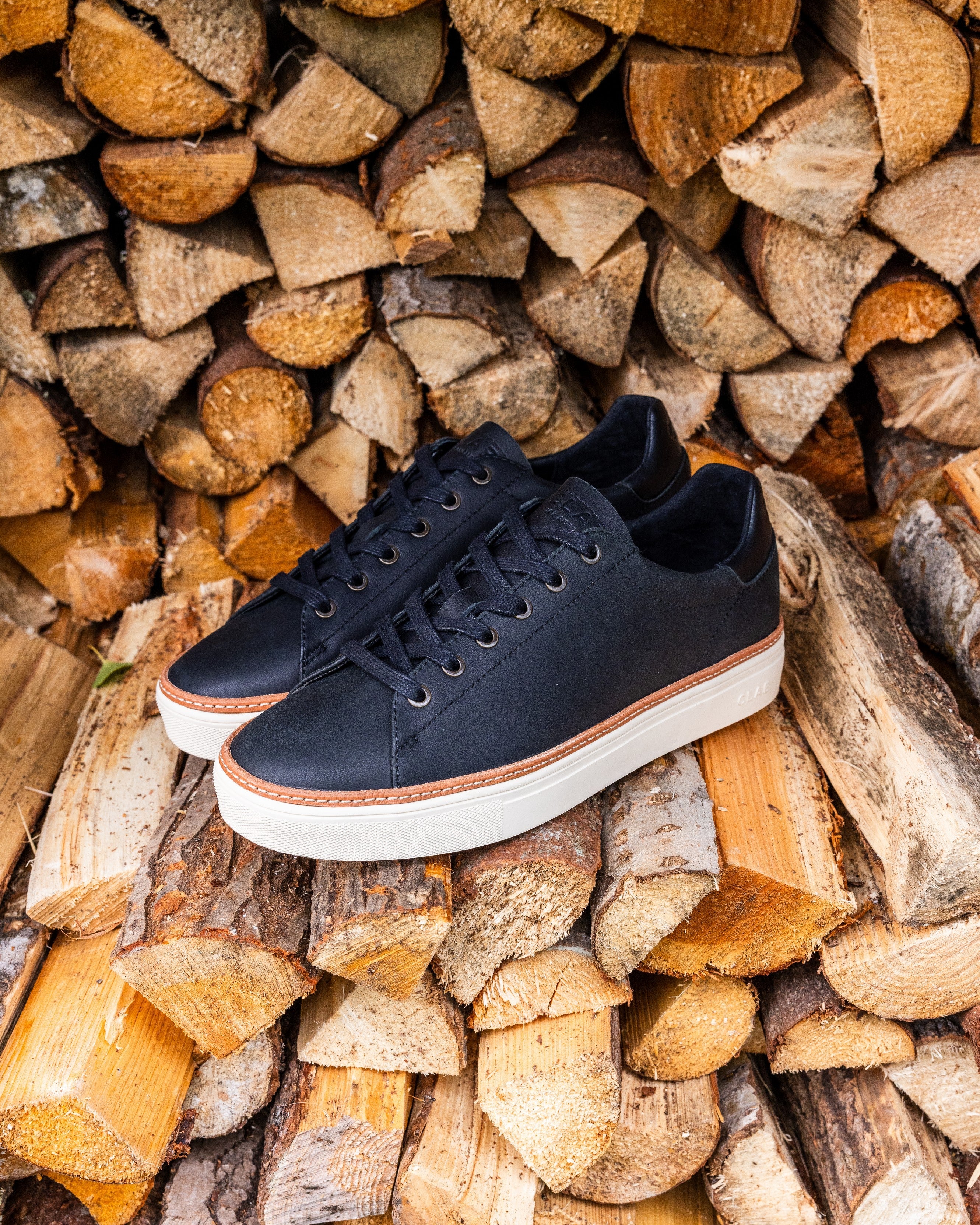 BRADLEY WELT - Image 3