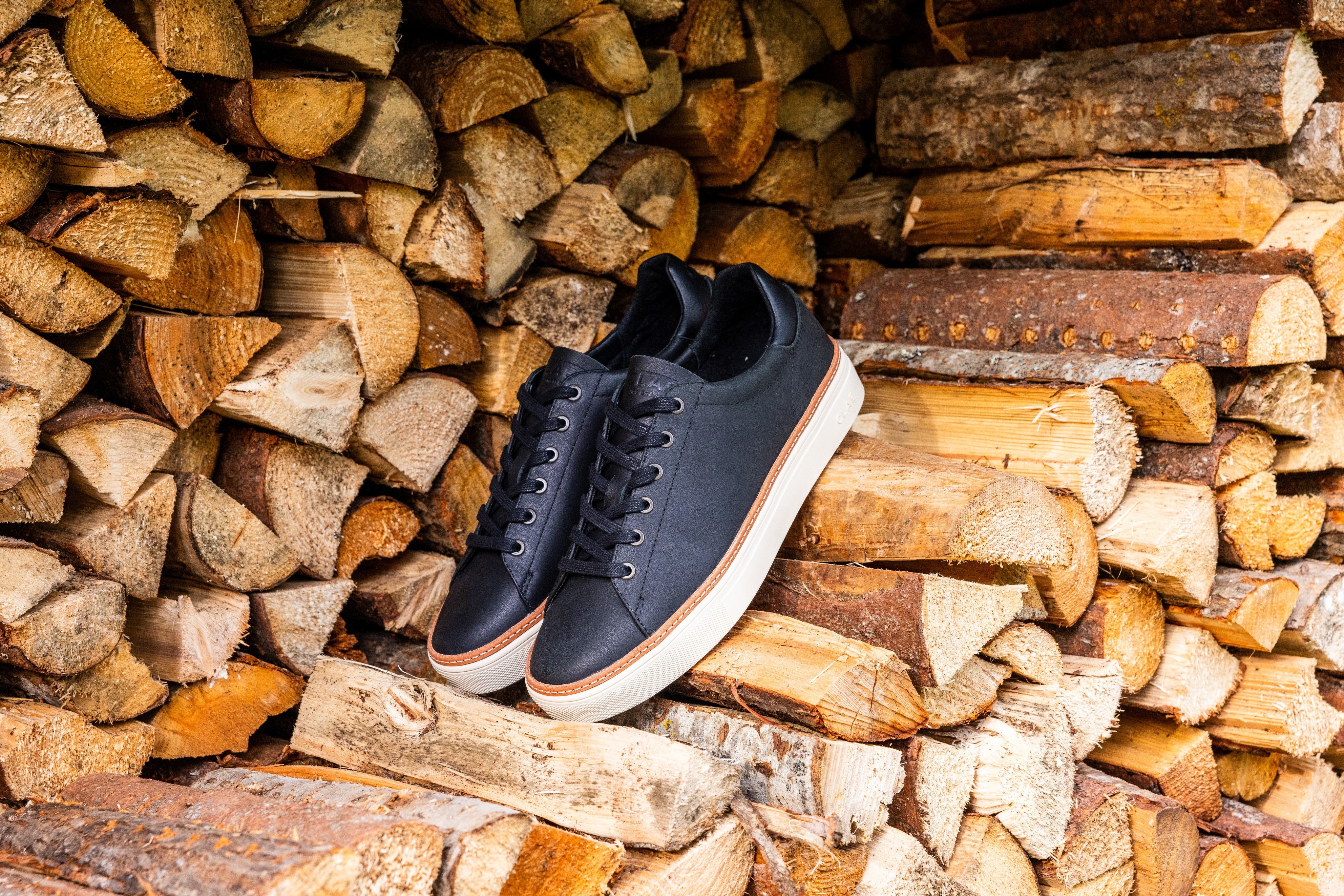 BRADLEY WELT - Image 9