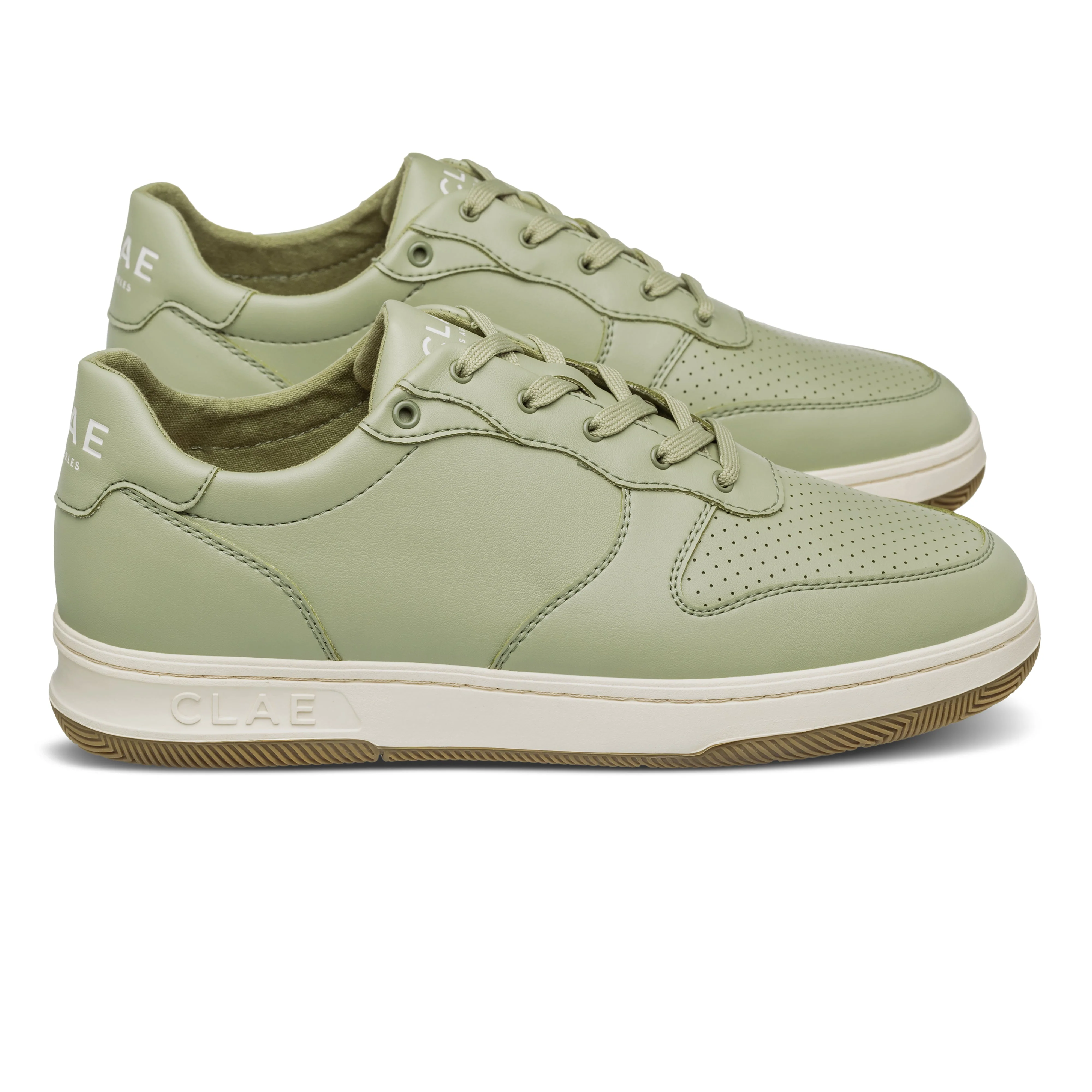 MALONE CACTUS - Image 6